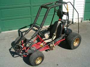 buggy-2.jpg