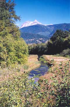 Mount Garibaldi view from the Mamquam River